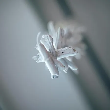 W28 Cutty-sark Stein (Schleswig-Holstein)